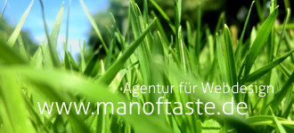Agentur fr Webdesign - manoftaste.de